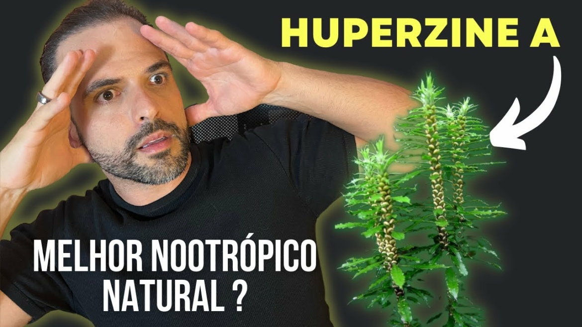 Nootrópico Natural mais Poderoso do Mundo ?