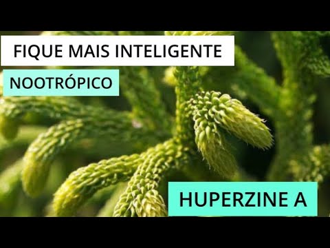 Fique mais Inteligente com esse NOOTRÓPICO ! HUPERZINE A