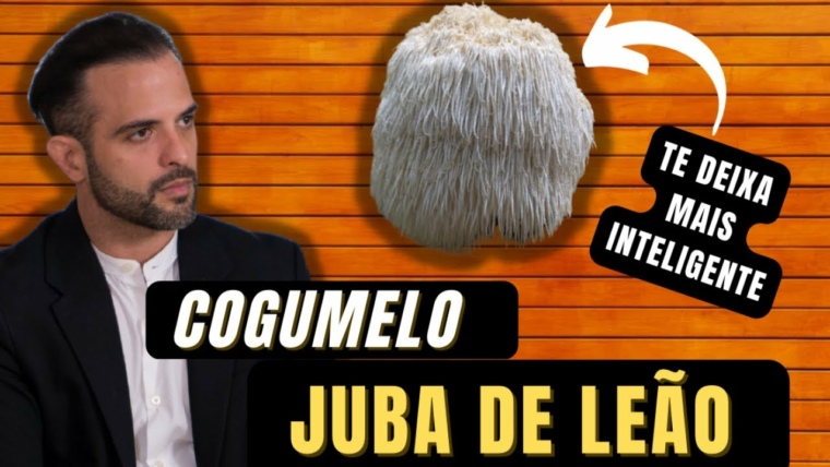 Lion's Mane - O cogumelo que vai te deixar mais inteligente