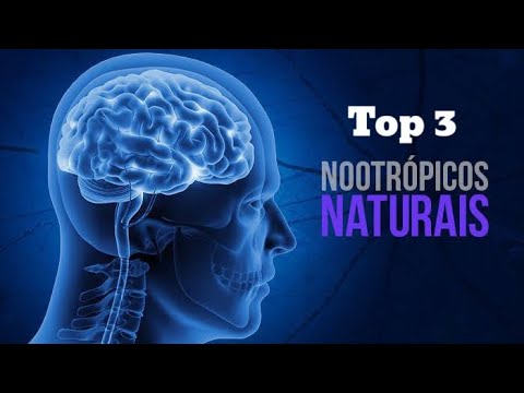 TOP 3 NOOTRÓPICOS NATURAIS 🌱