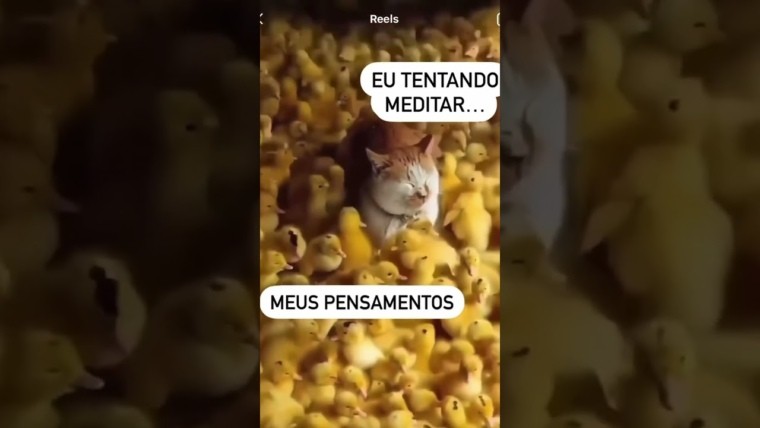 Meditar é difícil demais