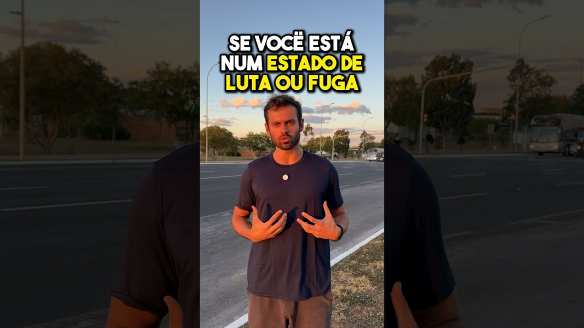 Se você está num estado de luta ou fuga, mas não está numa situação de luta ou fuga, FAÇA ISSO: